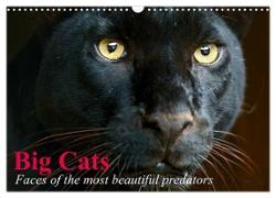 Big Cats ¿ Faces of the most beautiful predators (Wall Calendar 2024 DIN A3 landscape), CALVENDO 12 Month Wall Calendar