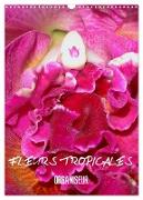 Fleurs tropicales / organiseur (Calendrier mural 2024 DIN A3 horizontal), CALVENDO calendrier mensuel