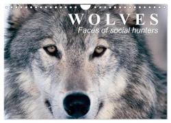 Wolves ¿ Faces of social hunters (Wall Calendar 2024 DIN A4 landscape), CALVENDO 12 Month Wall Calendar