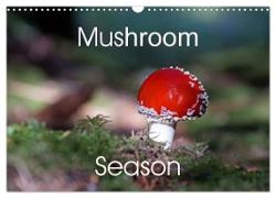 Mushroom Season (Wall Calendar 2024 DIN A3 landscape), CALVENDO 12 Month Wall Calendar