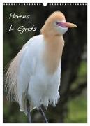 Herons & Egrets (Wall Calendar 2024 DIN A3 portrait), CALVENDO 12 Month Wall Calendar