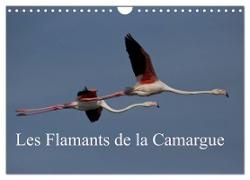 Les Flamants de la Camargue (Calendrier mural 2024 DIN A4 vertical), CALVENDO calendrier mensuel