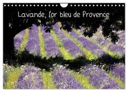 Lavande, l'or bleu de Provence (Calendrier mural 2024 DIN A4 vertical), CALVENDO calendrier mensuel