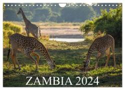 Zambia (Wall Calendar 2024 DIN A4 landscape), CALVENDO 12 Month Wall Calendar