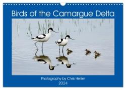 Birds of the Camargue Delta (Wall Calendar 2024 DIN A3 landscape), CALVENDO 12 Month Wall Calendar