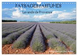 Paysages parfumés - Lavende de Provence (Calendrier mural 2024 DIN A4 vertical), CALVENDO calendrier mensuel