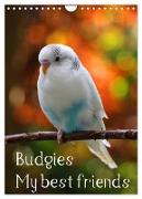 Budgies - my best friends (Wall Calendar 2024 DIN A4 portrait), CALVENDO 12 Month Wall Calendar