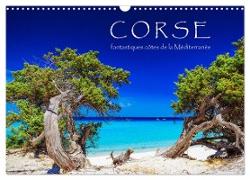 Corse - fantastiques côtes de la Méditerranée (Calendrier mural 2024 DIN A3 vertical), CALVENDO calendrier mensuel