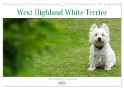 West Highland White Terrier - Your charming companion (Wall Calendar 2024 DIN A3 landscape), CALVENDO 12 Month Wall Calendar