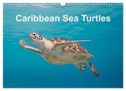 Caribbean Sea Turtles (Wall Calendar 2024 DIN A3 landscape), CALVENDO 12 Month Wall Calendar