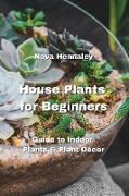 House Plants for Beginners