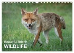 Beautiful British WILDLIFE (Wall Calendar 2024 DIN A3 landscape), CALVENDO 12 Month Wall Calendar