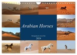 Arabian Horses (Wall Calendar 2024 DIN A4 landscape), CALVENDO 12 Month Wall Calendar