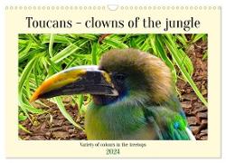 Toucans - clowns of the jungle (Wall Calendar 2024 DIN A3 landscape), CALVENDO 12 Month Wall Calendar
