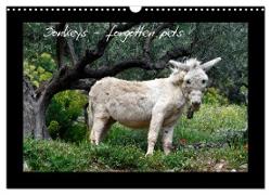 Donkeys - forgotten pets (Wall Calendar 2024 DIN A3 landscape), CALVENDO 12 Month Wall Calendar