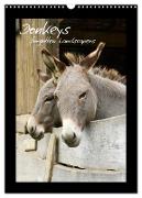 Donkeys - forgotten landscapers (Wall Calendar 2024 DIN A3 portrait), CALVENDO 12 Month Wall Calendar