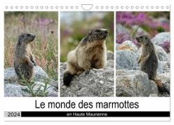 Le monde des marmottes en Haute Maurienne (Calendrier mural 2024 DIN A4 vertical), CALVENDO calendrier mensuel