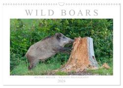Wild Boars (Wall Calendar 2024 DIN A3 landscape), CALVENDO 12 Month Wall Calendar