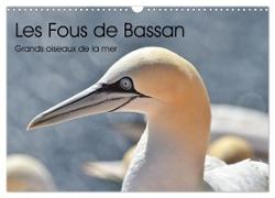 Fous de Bassan - Grands oiseaux marins (Calendrier mural 2024 DIN A3 vertical), CALVENDO calendrier mensuel