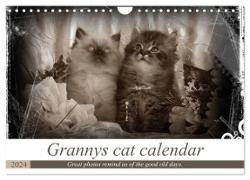 Granny's cat calendar (Wall Calendar 2024 DIN A4 landscape), CALVENDO 12 Month Wall Calendar