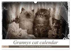 Granny's cat calendar (Wall Calendar 2024 DIN A3 landscape), CALVENDO 12 Month Wall Calendar