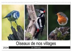 Oiseaux de nos villages en Gâtinais (Calendrier mural 2024 DIN A3 vertical), CALVENDO calendrier mensuel