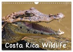 Costa Rica Wildlife (Wall Calendar 2024 DIN A4 landscape), CALVENDO 12 Month Wall Calendar