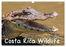 Costa Rica Wildlife (Wall Calendar 2024 DIN A3 landscape), CALVENDO 12 Month Wall Calendar