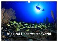 Magical Underwater World (Wall Calendar 2024 DIN A3 landscape), CALVENDO 12 Month Wall Calendar