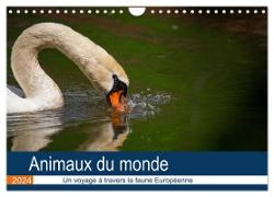 Animaux du monde - Un voyage à travers la faune européenne (Calendrier mural 2024 DIN A4 vertical), CALVENDO calendrier mensuel