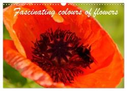 Fascinating colours of flowers (Wall Calendar 2024 DIN A3 landscape), CALVENDO 12 Month Wall Calendar