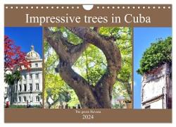 Impressive trees in Cuba - The green Havana (Wall Calendar 2024 DIN A4 landscape), CALVENDO 12 Month Wall Calendar