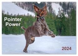 Pointer Power (Wall Calendar 2024 DIN A3 landscape), CALVENDO 12 Month Wall Calendar