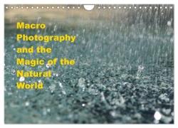 Macro Photography and the Magic of the Natural World (Wall Calendar 2024 DIN A4 landscape), CALVENDO 12 Month Wall Calendar