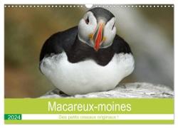 Macareux-moines Des petits oiseaux originaux! (Calendrier mural 2024 DIN A3 vertical), CALVENDO calendrier mensuel