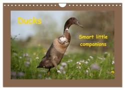 Ducks - Smart litte companions (Wall Calendar 2024 DIN A4 landscape), CALVENDO 12 Month Wall Calendar
