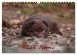 Aussie Puppies (Wall Calendar 2024 DIN A3 landscape), CALVENDO 12 Month Wall Calendar