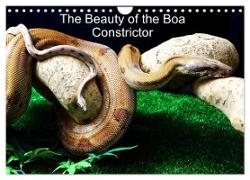The Beauty of the Boa Constrictors (Wall Calendar 2024 DIN A4 landscape), CALVENDO 12 Month Wall Calendar