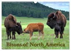 Bisons of North America (Wall Calendar 2024 DIN A3 landscape), CALVENDO 12 Month Wall Calendar