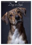 Dogs in Style (Wall Calendar 2024 DIN A4 portrait), CALVENDO 12 Month Wall Calendar