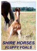 Shire Horses, Fluffy Foals (Wall Calendar 2024 DIN A4 portrait), CALVENDO 12 Month Wall Calendar