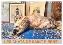 LES CHATS DE SAINT-PIERRE (Calendrier mural 2024 DIN A4 vertical), CALVENDO calendrier mensuel