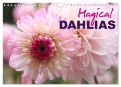 Magical Dahlias (Wall Calendar 2024 DIN A4 landscape), CALVENDO 12 Month Wall Calendar