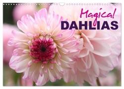 Magical Dahlias (Wall Calendar 2024 DIN A3 landscape), CALVENDO 12 Month Wall Calendar