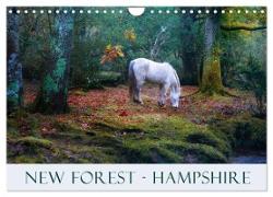 New Forest Hampshire (Wall Calendar 2024 DIN A4 landscape), CALVENDO 12 Month Wall Calendar