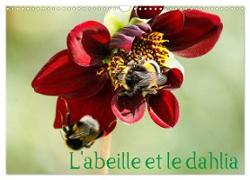 L'abeille et le dahlia (Calendrier mural 2024 DIN A3 vertical), CALVENDO calendrier mensuel