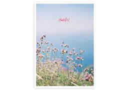 Postkarte. Spotlack - Danke Wiesenblumen