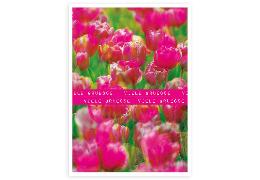 Postkarte. Spotlack - Viele Gruesse Blumen Pink