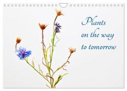 Plants on the way to tomorrow (Wall Calendar 2024 DIN A4 landscape), CALVENDO 12 Month Wall Calendar