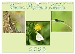 Oiseaux, Papillons et Libellules (Calendrier mural 2024 DIN A4 vertical), CALVENDO calendrier mensuel